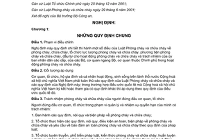 Nghị định 35/2003/NĐ-CP hướng dẫn Luật phòng cháy và chữa cháy