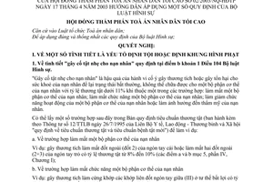 Nghị quyết 02/2003/NQ-HĐTP hướng dẫn áp dụng quy định của Bộ luật Hình sự