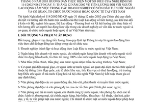 Thông tư 14/2003/TT-BLĐTBXH tiền lương người lao động làm việc trong doanh nghiệp có vốn đầu tư nước ngoài và cơ quan, tổ chức nước ngoài tại Việt Nam