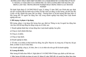 Thông tư 13/2003/TT-BLĐTBXH tiền lương người lao động làm việc trong doanh nghiệp hoạt động theo Luật doanh nghiệp