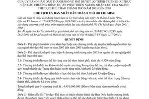 Quyết định 213/2003/QĐ-UB duyệt lộ trình triển khai chương trình dự án phát triển nguồn nhân lực ngành Thể dục-Thể thao thành phố từ năm 2003 đến 2006