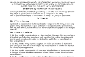 Quyết định 600/2003/QĐ-BTNMT chức năng, nhiệm vụ, quyền hạn cơ cấu tổ chức Cục Quản lý tài nguyên nước