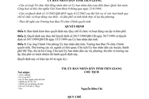 Quyết định 33/2003/QĐ-UB Quy chế tổ chức hoạt động của ấp khu phố Tiền Giang