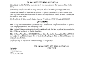 Quyết định 40/2003/QĐ-UB Cơ chế ưu đãi khuyến khích đầu tư