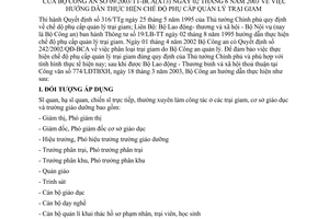 Thông tư 09/2003/TT-BCA(X13) hướng dẫn thực hiện chế độ phụ cấp quản lý trại giam