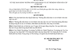 Quyết định 1905/2003/QĐ-BYT Hướng dẫn chẩn đoán xử trí bệnh viêm não cấp ở trẻ em
