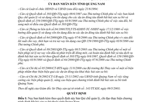 Quyết định 61/2003/QĐ-UB chỉ đạo đánh bắt hải sản xa bờ Quảng Nam