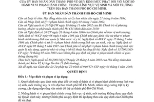 Quyết định 105/2003/QĐ-UB mức phạt vi phạm hành chính trong vệ sinh môi trường trên địa bàn thành phố Hồ Chí Minh