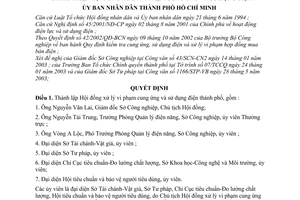 Quyết định 111/2003/QĐ-UB lập Hội đồng xử lý vi phạm cung ứng sử dụng điện