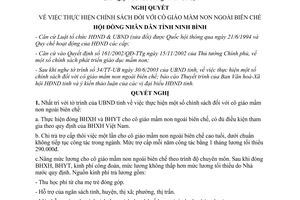 Nghị quyết 43/NQ-HĐ 2003 chính sách cô giáo mầm non ngoài biên chế Ninh Bình