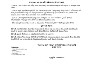 Quyết định 65/2003/QĐ-UB phát triển kinh tế tư nhân Quảng Nam