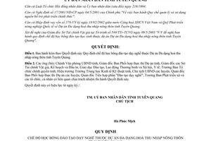 Quyết định 94/2003/QĐ-UB chế độ học bổng đào tạo dạy nghề Dự án Đa dạng hoá thu nhập nông thôn Tuyên Quang
