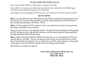 Quyết định 345/2003/QĐ-UB ban hành quy trình kỹ thuật trồng rừng phòng hộ Lào Cai