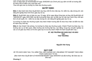 Quyết định 40/2003/QĐ-BGDĐT quy chế tổ chức đào tạo, thi, kiểm tra, cấp chứng chỉ, văn bằng tốt nghiệp theo hình thức giáo dục từ xa