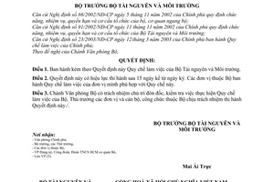 Quyết định 1152/2003/QĐ-BTNMT quy chế làm việc của Bộ Tài nguyên và Môi trường