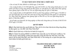 Quyết định 2494/QĐ-UB 2003 dự án trồng rừng phòng hộ đầu nguồn vay vốn JBIC Thừa Thiên Huế