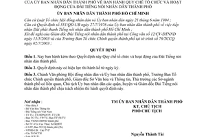 Quyết định 162/2003/QĐ-UB Quy chế tổ chức hoạt động Đài Tiếng nói nhân dân thành phố