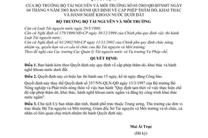 Quyết định 05/2003/QĐ-BTNMT cấp phép thăm dò, khai thác hành nghề khoan nước dưới đất