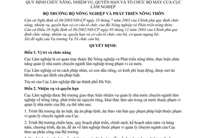 Quyết định 91/2003/QĐ-BNN chức năng, nhiệm vụ, quyền hạn tổ chức bộ máy  Cục Lâm nghiệp