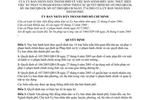 Quyết định 165/2003/QĐ-UB biểu mẫu thực hiện xử phạt vi phạm hành chính theo quyết định 105/2003/QĐ-UB,106/2003/QĐ-