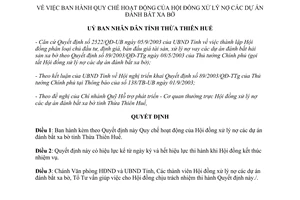 Quyết định 2540/QĐ-UB 2003 Quy chế hoạt động Hội đồng xử lý nợ dự án đánh bắt xa bờ Thừa Thiên Huế