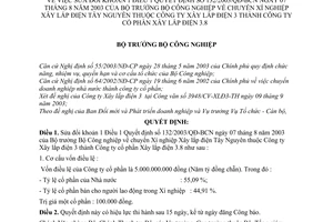 Quyết định 146/2003/QĐ-BCN chuyển Xí nghiệp Xây lắp điện Tây Nguyên thuộc Công ty Xây lắp điện 3 thành Công ty cổ phần Xây lắp điện 3.8