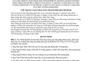 Quyết định 198/2003/QĐ-UB lập Ban chỉ đạo thực hiện Chỉ thị 21/2002/CT-TTg  12/2003/CT-TTg