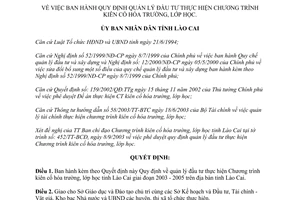 Quyết định 451/2003/QĐ.UB quản lý đầu tư thực hiện Chương trình kiên cố