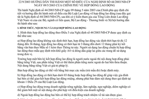 Thông tư 21/2003/TT-BLĐTBXH hợp đồng lao động hướng dẫn thi hành Nghị định 44/2003/NĐ-CP