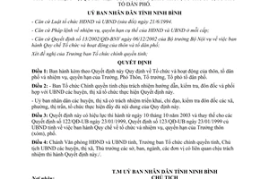 Quyết định 2020/2003/QĐ-UB tổ chức và hoạt động của thôn, tổ dân phố