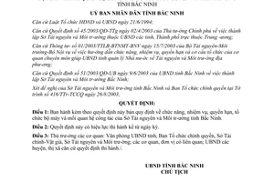 Quyết định 105/2003/QĐ-UB chức năng nhiệm vụ quyền hạn bộ máy quan hệ công tác Sở Tài nguyên Bắc Ninh