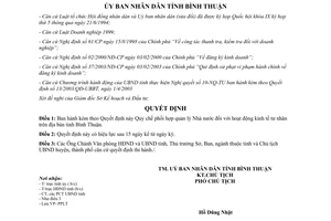Quyết định 67/2003/QĐ-UBBT quản lý nhà nước hoạt động kinh tế tư nhân Bình Thuận