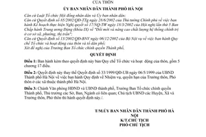 Quyết định 133/2003/QĐ-UBND Quy chế tổ chức hoạt động Thôn