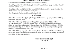 Quyết định 119/2003/QĐ-UB  Quy chế tổ chức và hoạt động của Thôn và Khu phố