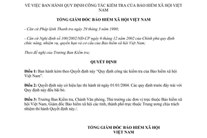 Quyết định 1539/QĐ-BHXH-KT năm 2003 công tác kiểm tra của Bảo hiểm xã hội VN