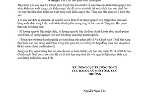 Công văn 5733/TCHQ-KTTT báo cáo tình hình nguyên liệu nhập khẩu sản xuất hàng xuất khẩu sang I rắc