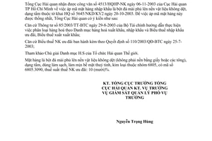 Công văn 5937/TCHQ-GSQL áp mã hàng xuất khẩu