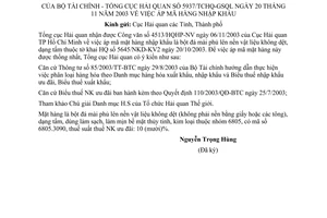 Công văn 5937/TCHQ-GSQL áp mã hàng nhập khẩu