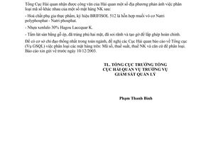 Công văn 6094/TCHQ-GSQL báo cáo áp mã hàng nhập khẩu