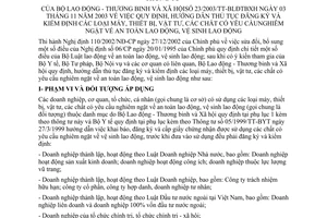Thông tư 23/2003/TT-BLĐTBXH hướng dẫn thủ tục đăng ký và kiểm định máy, thiết bị, vật tư, chất có yêu cầu nghiêm ngặt về An toàn vệ sinh Lao động