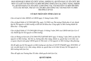 Quyết định 572/2003/QĐ-UB chức năng tổ chức sở tài nguyên môi trường Lào Cai