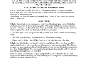 Quyết định 252/2003/QĐ-UB giao chỉ tiêu điều chỉnh bổ sung kế hoạch đầu tư xây dựng năm 2003 nguồn vốn khấu hao cơ bản  phụ thu tiền điện