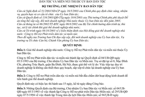 Quyết định 263/2003/QĐ-UBDT giải thể doanh nghiệp nhà nước công ty hỗ trợ phát triển dân tộc và miền núi thuộc Ủy ban dân tộc