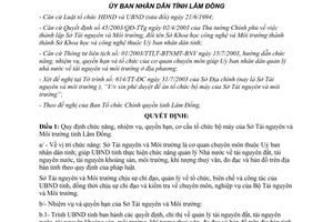 Quyết định 158/2003/QĐ-UB chức năng nhiệm vụ quyền hạn cơ cấu tổ chức bộ máy sở tài nguyên môi trường Lâm Đồng