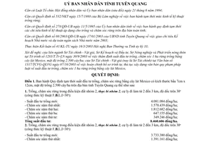 Quyết định 152/2003/QĐ-UB suất đầu tư trồng chăm sóc rừng bằng cây Lát Mexico Tuyên Quang