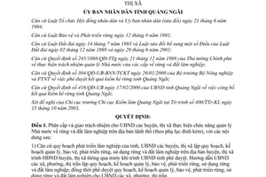 Quyết định 222/2003/QĐ-UBND phân cấp quản lý rừng đất lâm nghiệp Quảng Ngãi