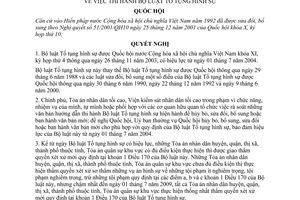 Nghị quyết 24/2003/QH11 thi hành Bộ luật Tố tụng Hình sự