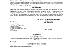 Quyết định 2656/2003/QĐ-UB Quy trình thiết kế trồng rừng