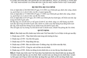 Quyết định 195/2003/QĐ-BTC công bố sáu chuẩn mực kiểm toán Việt Nam (đợt 5)