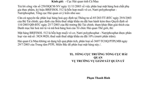 Công văn 6519/TCHQ-GSQL áp mã hàng NK